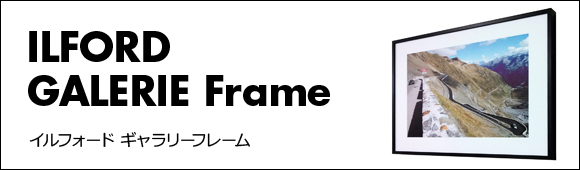 ジグレーフレーム　メイン画像