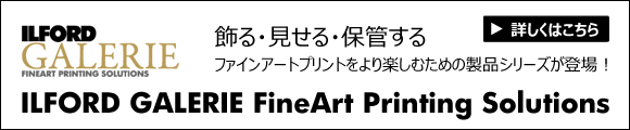 ギャラリー・ソリューション